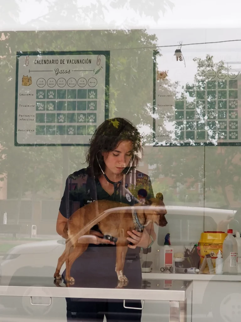 campaña de vacunación de rabia clinica veterinaria vallecas