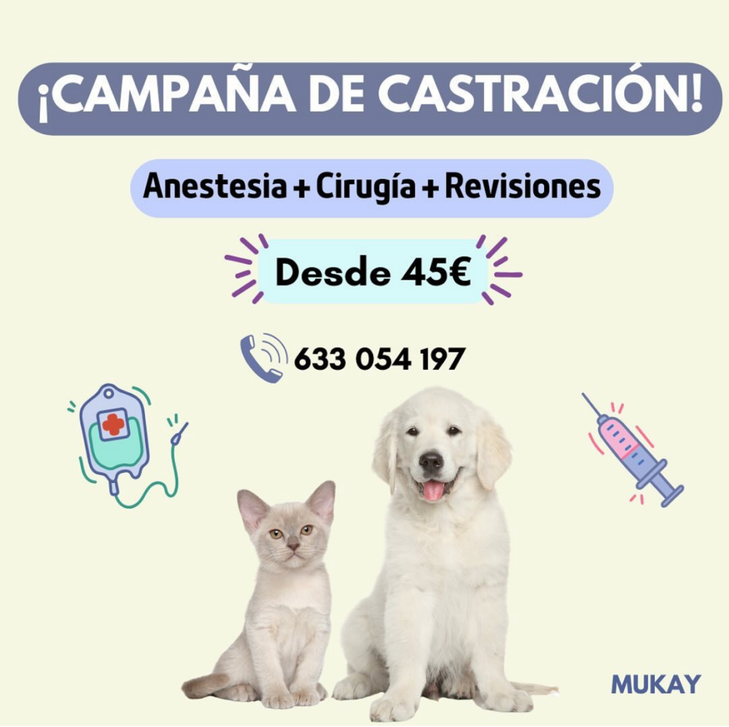 Campaña de castración clinica veterinaria vallecas