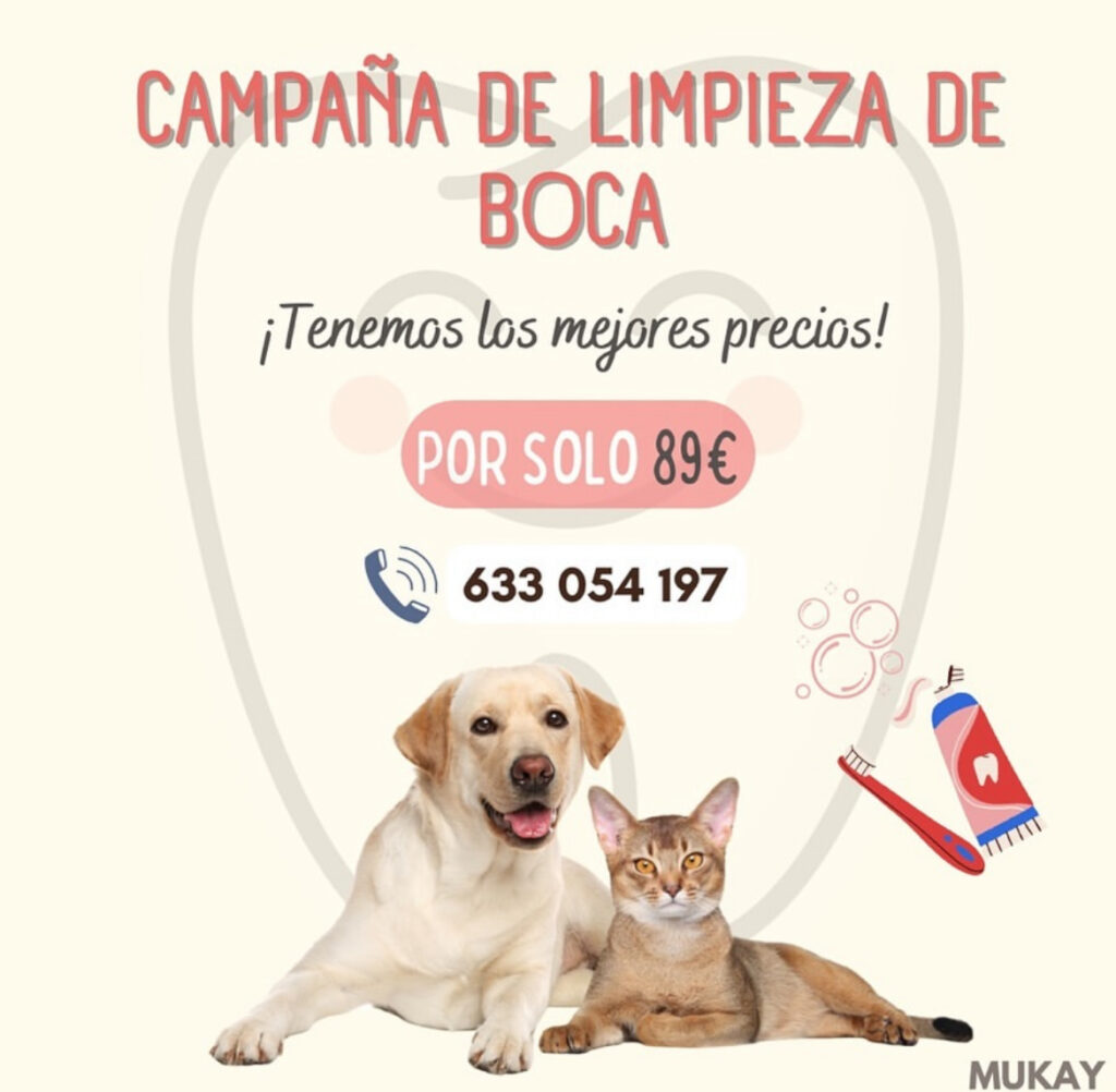 Campaña de limpieza de boca clinica veterinaria vallecas